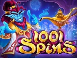 1001 Spins